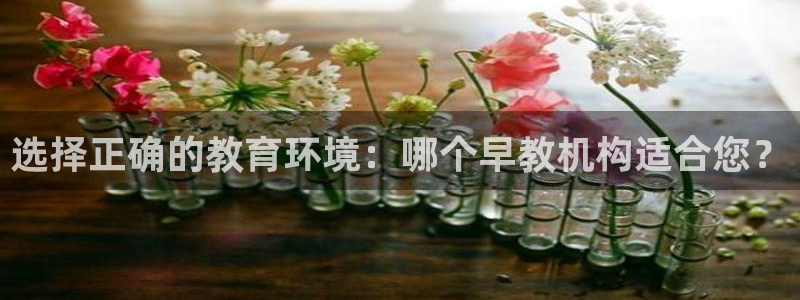 天顺娱乐文赋99840：选择正确的教育环境：哪个早教机构适合您？