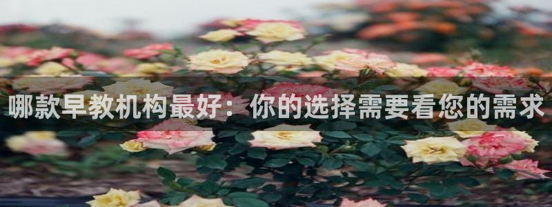 天顺娱乐2853179Z空间：哪款早教机构最好：你的选择需要看您的需求