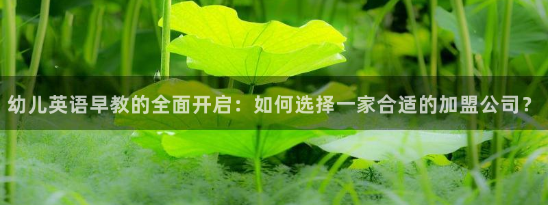 天顺娱乐负责人隶洛pg29999：幼儿英语早教的全面开启：如何选择一家合适的加盟