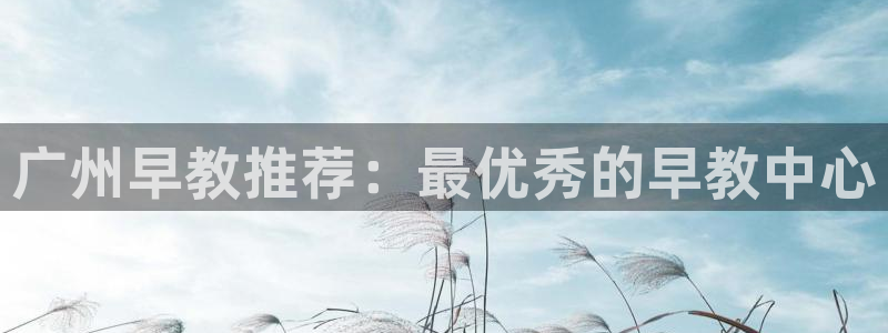 天顺娱乐关943994：广州早教推荐：最优秀的早教中心