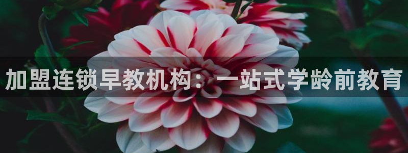 天顺娱乐负责人片历pg29999:加盟连锁早教机构:一站式学龄前教育