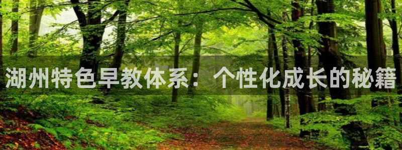 天顺娱乐尤7O667：湖州特色早教体系：个性化成长的秘籍