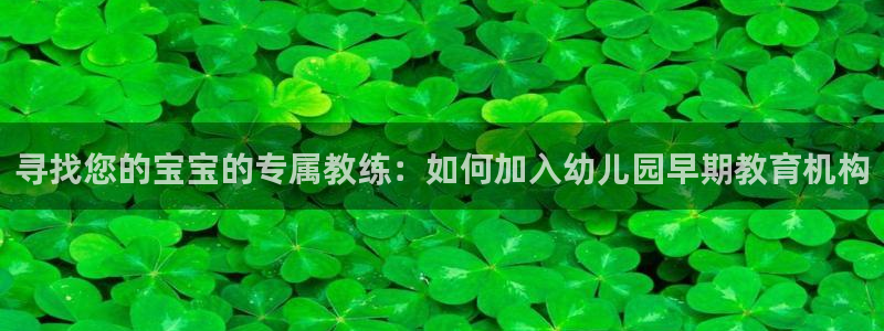 天顺娱乐开门了吗:寻找您的宝宝的专属教练:如何加入幼儿园早期教育机构