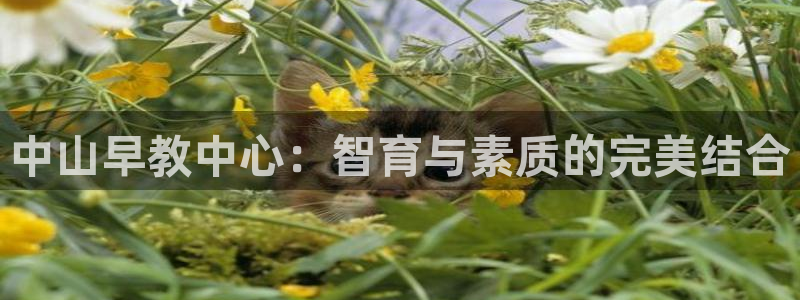 天顺娱乐男亩p官29999:中山早教中心:智育与素质的完美结合