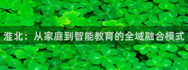 天顺娱乐口55312:淮北:从家庭到智能教育的全域融合模式