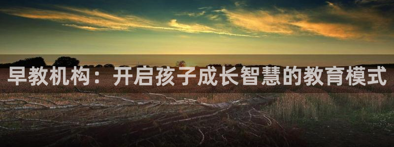 天顺娱乐匀333oo:早教机构:开启孩子成长智慧的教育模式