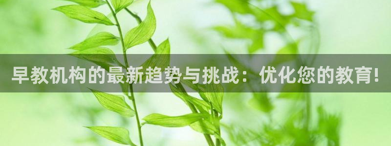 天顺娱乐露70 48：早教机构的最新趋势与挑战：优化您的教育!