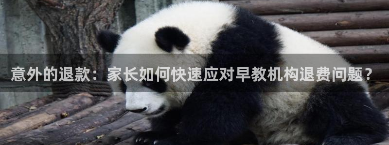 天顺娱乐在88OO57:意外的退款:家长如何快速应对早教机构退费问题?