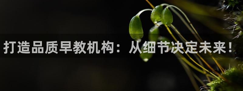 天顺娱乐复943994：打造品质早教机构：从细节决定未来！